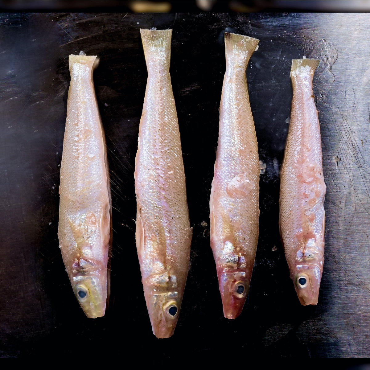 Lady Fish ( kane) Whole Cut