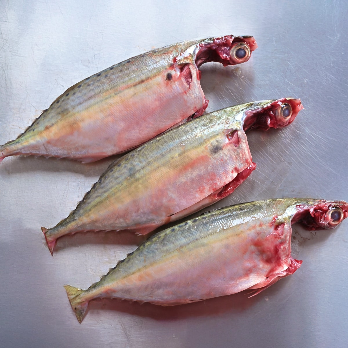 Mackerel Whole Cleaned