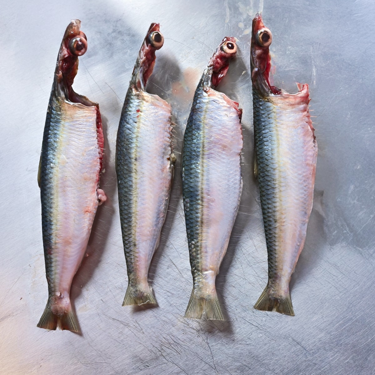 Sardine (Mathi) Whole Cleaned